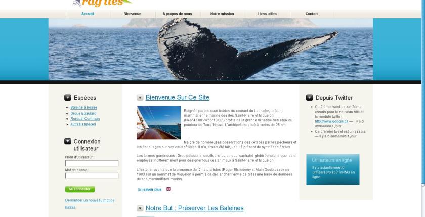 Site pour une association d'animaux