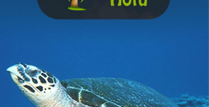Créer un site d'hébergement