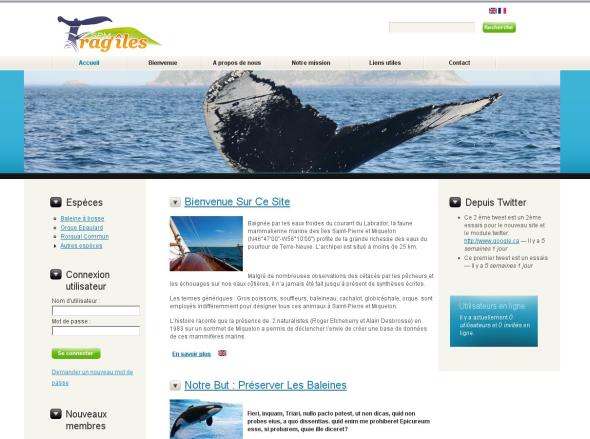 
<span>Baleines Fragiles</span>
