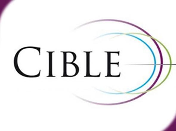 
<span>Cible Développement</span>
