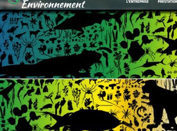 
<span>Fenua Environnement</span>
